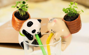 cute-self-watering-ceramic-planters-latest.jpg