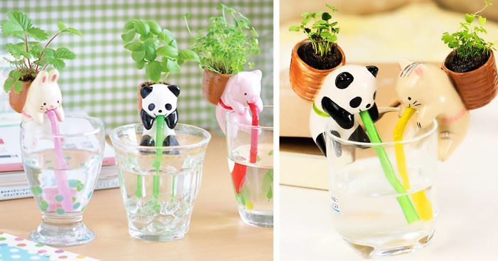 cute-self-watering-ceramic-planters-fb__700.jpg