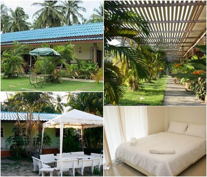 คลองวาฬ ประจวบคีรีขันธ์ ใกล้อ่าวมะนาว หมาพักได้ พาหมาเที่ยว สุนัข สัตว์เลี้ยงพักได้