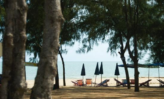 ประจวบคีรีขันธ์ หมาพักได้ แนะนำที่เที่ยวที่พัก โรงแรม รีสอร์ต ต้อนรับสัตว์เลี้ยง