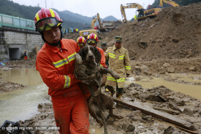 lishui_rescue_dogs4.jpg