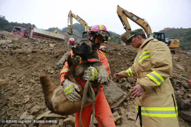 lishui_rescue_dogs5.jpg