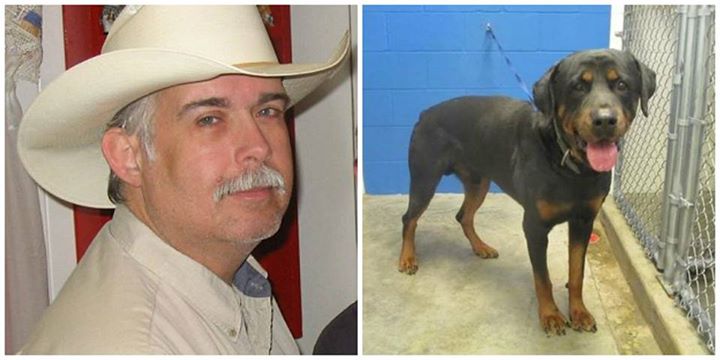 ชายเพิ่งรับร็อตไวเลอร์จรจัดไปเลี้ยง กลับถูกขย้ำตายในวันเดียวกัน