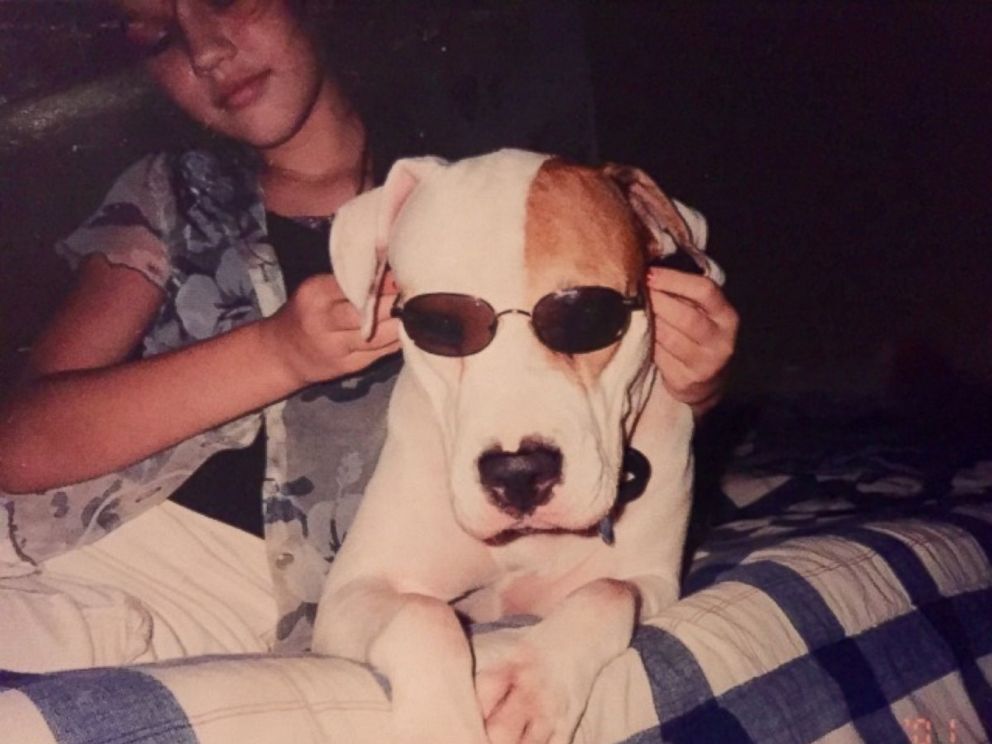 ความสุขครั้งสุดท้าย! เจ้าของพาสุนัขชราตัวโปรดนั่งรถรับลมก่อนตาย มันดูสงบและมีความสุข