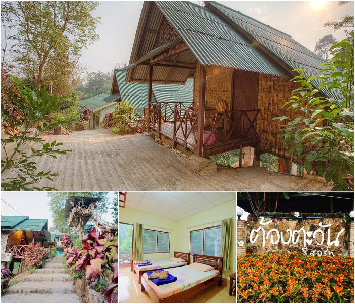 อัปเดต 2569! ที่พักสัตว์เลี้ยงพักได้ สังขละบุรี กาญจนบุรี (หมาใหญ่) ใกล้สะพานมอญ ชมเมืองบาดาล