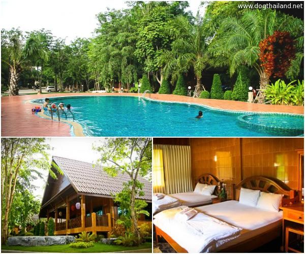 อัปเดต 2569! ที่พักแพริมน้ำเขื่อนศรีนครินทร์ (หมาใหญ่พักได้) | ที่สุดของ Pet Friendly กาญจนบุรี