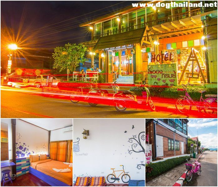 บึงกาฬ หมาพักได้ แนะนำที่เที่ยวที่พัก โรงแรม รีสอร์ต บังกะโล ต้อนรับสัตว์เลี้ยง ทั้งหมด