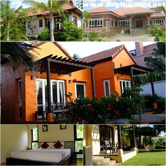 ต้นโต รีสอร์ท.jpg