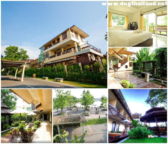 กรุงเทพ หมาพักได้ โรงแรม ที่พัก ต้อนรับสัตว์เลี้ยง ในกรุงเทพมหานคร