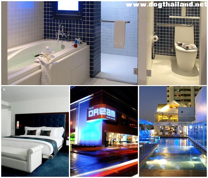 ดรีม.jpg