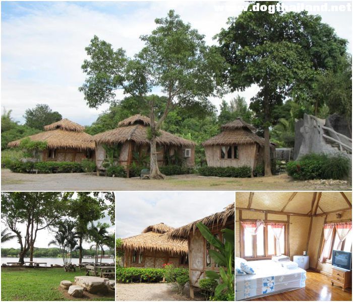 อัปเดต 2569! ที่พักแพริมน้ำเขื่อนศรีนครินทร์ (หมาใหญ่พักได้) | ที่สุดของ Pet Friendly กาญจนบุรี