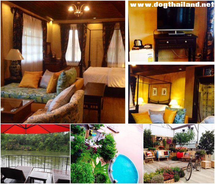 อัปเดต 2569! ที่พักแพริมน้ำเขื่อนศรีนครินทร์ (หมาใหญ่พักได้) | ที่สุดของ Pet Friendly กาญจนบุรี