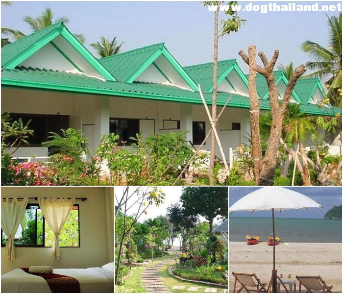 ที่พัก เขาสามร้อยยอด จ.ประจวบคีรีขันธ์ ที่พักหมาพักได้ ต้อนรับสัตว์เลี้ยงสุนัขแมว