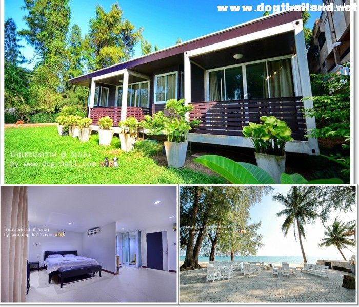 ที่พักระยอง ติดทะเล ไม่ติดทะเล ราคาถูก สัตว์เลี้ยงเข้าพักได้