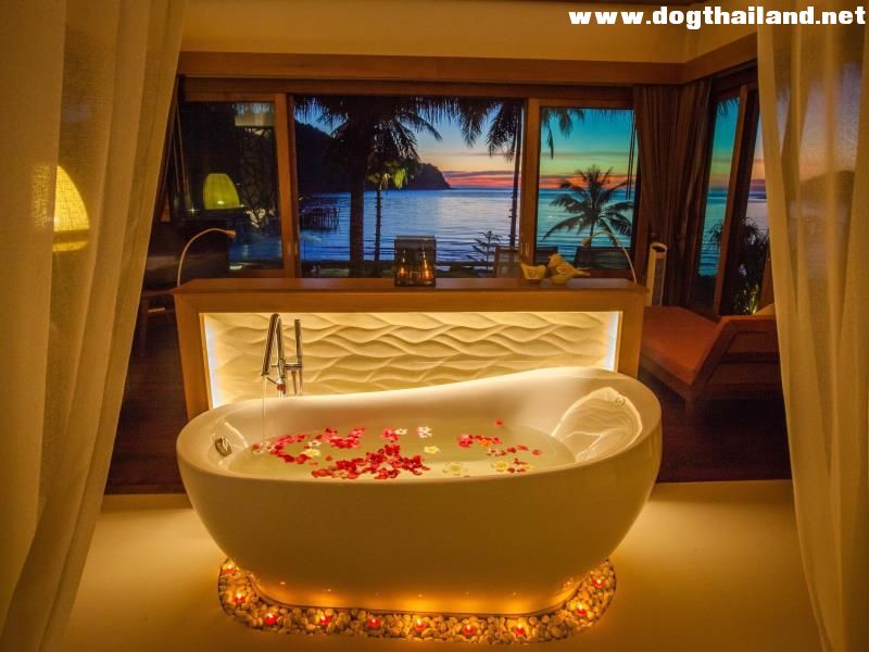 The Beach Natural Resort Koh Kood  หมาพักได้ เที่ยวเกาะกูด จังหวัดตราด สุนัขพักได้