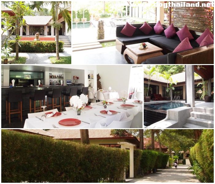 20 ที่พักเกาะสมุยติดทะเล หมาพักได้–แมวพักได้ | รวมรีสอร์ท Pet Friendly อัปเดตปี 2026