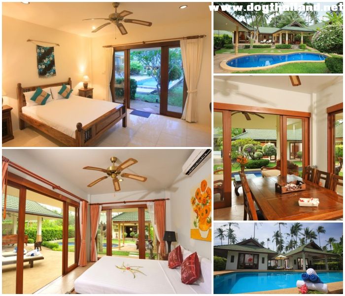 20 ที่พักเกาะสมุยติดทะเล หมาพักได้–แมวพักได้ | รวมรีสอร์ท Pet Friendly อัปเดตปี 2026