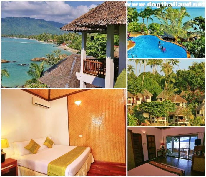 20 ที่พักเกาะสมุยติดทะเล หมาพักได้–แมวพักได้ | รวมรีสอร์ท Pet Friendly อัปเดตปี 2026