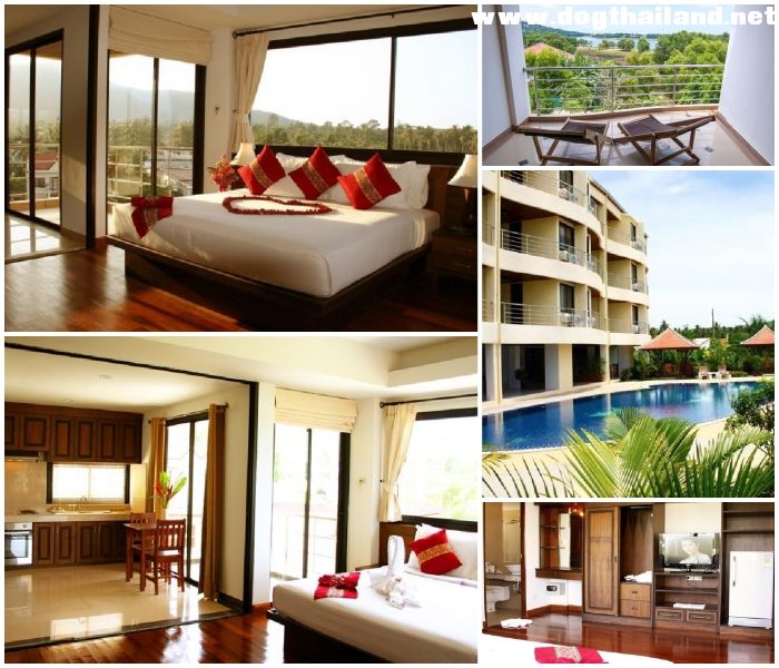 20 ที่พักเกาะสมุยติดทะเล หมาพักได้–แมวพักได้ | รวมรีสอร์ท Pet Friendly อัปเดตปี 2026