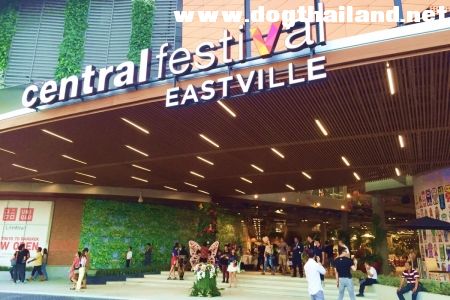 ห้างสัตว์เลี้ยงเข้าได้ในกรุงเทพฯ ปี 2025