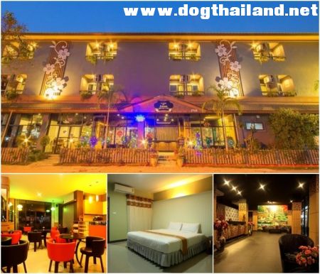 เดอะ คอร์เนอ.jpg