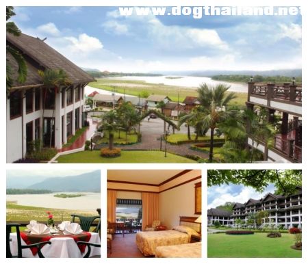 อิมพีเรียล โกลเด้น ไ.jpg