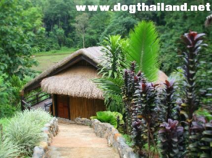 ริเวอร์ ฮิลล์ รีส.jpg