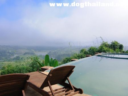 เชียง ราย วาลเลย์.jpg