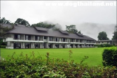 ดอยตุง ลอ.jpg