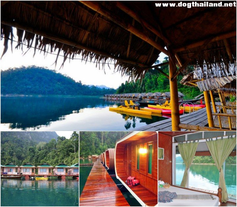 หมาพักได้ เขื่อนรัชชประภา เขื่อนเชี่ยวหลาน กุ้ยหลินเมืองไทย จ.สุราษฏร์ธานี พาหมาเที่ยว