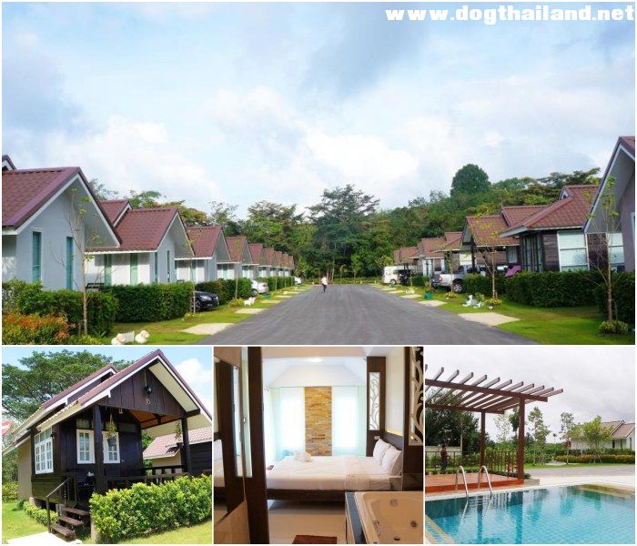 จันท์พระยา รีสอร์ท (Chanpraya Resort) อำเภอเมือง จันทบุรี สุนัขพักได้