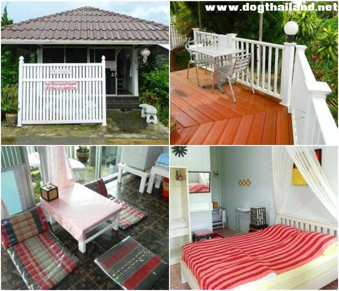 คุ้มบัวแก้ว รีสอร์ท (Khumbuakaew Resort) ที่พักเชียงใหม่ สุนัขเข้าพักได้ แม่ริม ราคาหลักร้อย