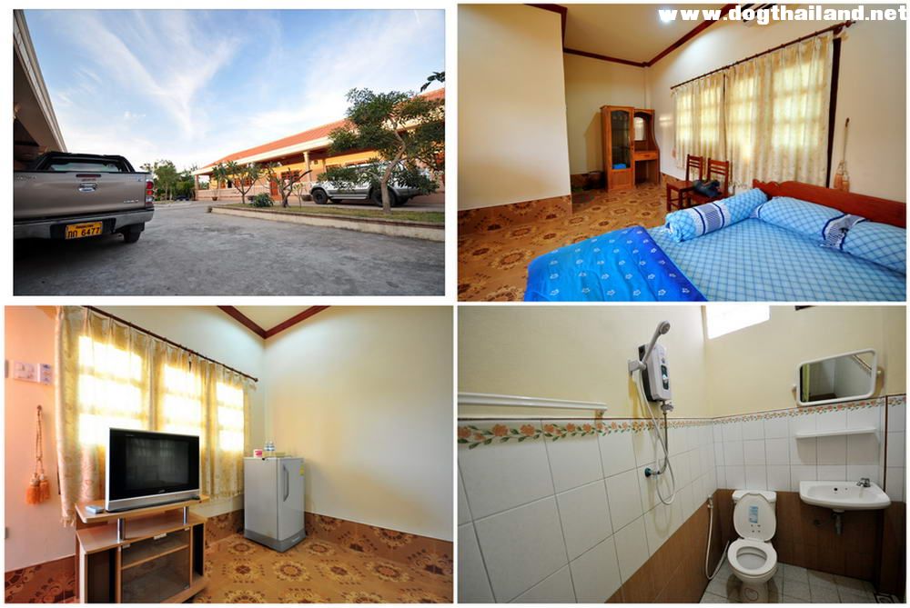 พาสุนัขไปเที่ยว สปป.ลาว ทำอย่างไร น้องหมาเข้าลาวได้ไหม มีบอกโดยละเอียด