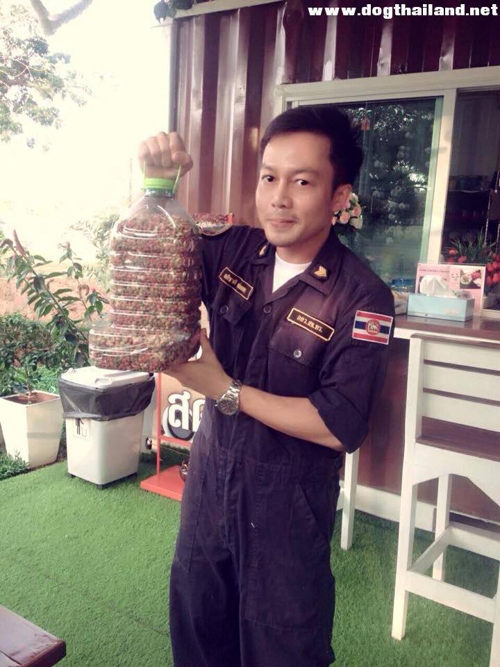 กล่องใส่อาหารน้องหมา จากขวดน้ำเปล่า DIY สุดยอดง่ายประหยัด น้องหมาอิ่ม