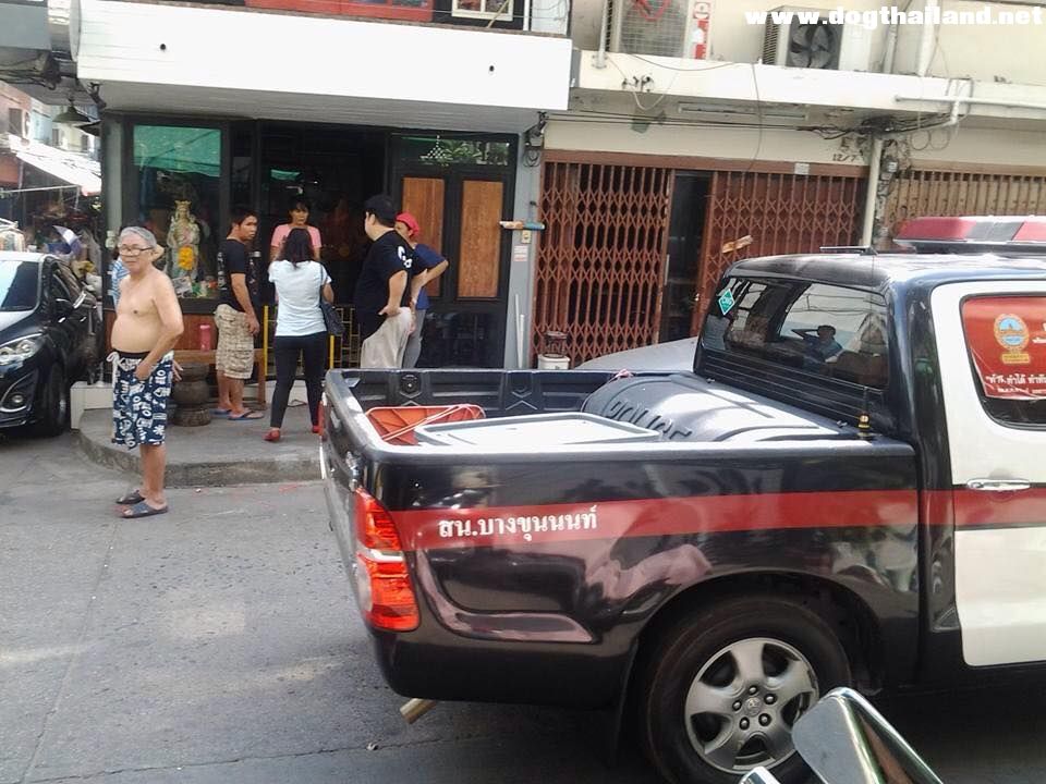 ฮา!! โจรขึ้นบ้าน หมาไม่มีเห่าซักแอะ แต่กลับตาลปัตร เพราะหมา โจรเลยเอาอะไรไปไม่ได้!!