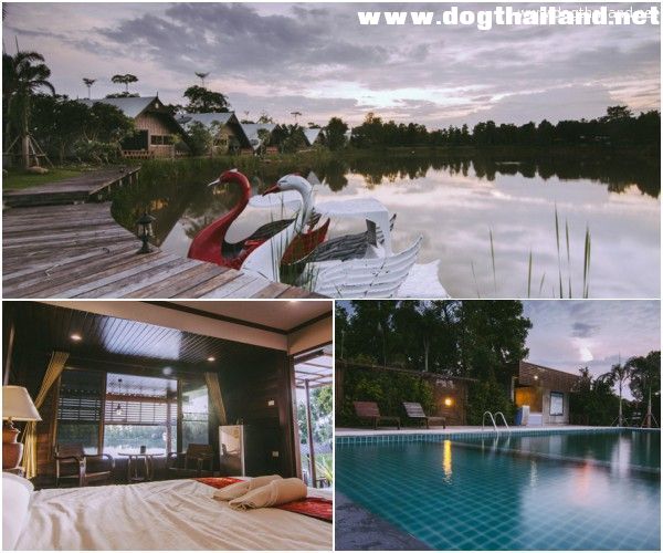 ธนิตา ลากูน รีสอร์ท (TaNiTa Lagoon Resort) อำเภอเมือง อุดรธานี สุนัขเข้าพักฟรี ราคาหลักร้อย