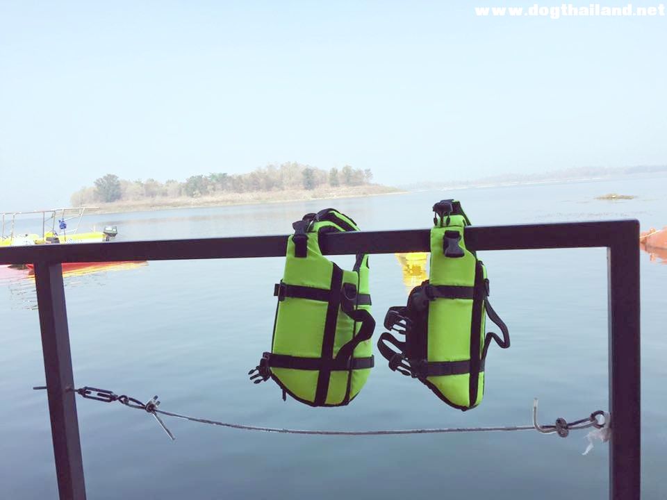 ภูนกเงือก รีสอร์ท แพกาญจนบุรี สุนัขเข้าพักได้ สวย สงบ บรรยากาศดี ของเล่นฟรีทุกชิ้น