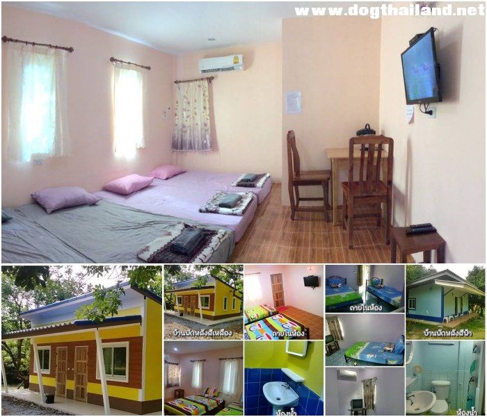 เขาคิชฌกูฏ จันทบุรี สุนัขเข้าพักได้ แนะนำที่พัก รีสอร์ท น้องหมาเข้าพักได้