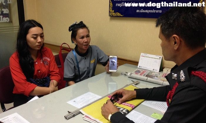 น้องหมาโดนสุนัขข้างบ้าน แอบข่มขืนหลายครั้ง เจ้าของสุดทน!! รุดเเจ้งตร. แบบนี้ก็มีด้วย