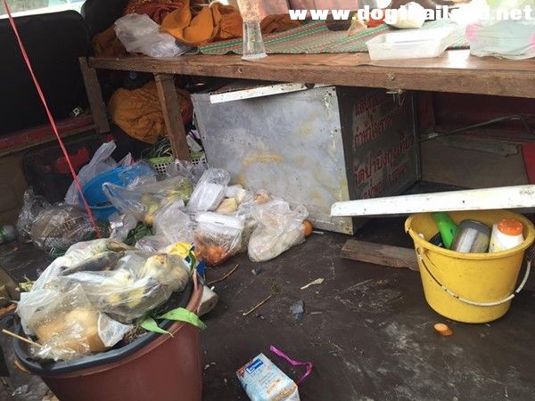 จับแล้วพระทรมานสัตว์  พระหนูที บอกใช้หมาบิณฑบาตคนจะได้สงสาร-พบยังมีสุนัขถูกทารุณอีก