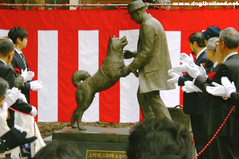 'ฮาจิโกะ' ได้พบกับศาสตร์จารย์อูเอโนะแล้วนะ กับการเปิดตัวแล้วรูปปั้น สุดซึ้ง