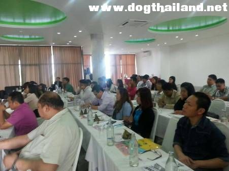 ส่อเป็นเรื่อง! คนโตแม่สอดลั่นกลางวง เล็งฆ่าหมาจรจัดสกัดพิษสุนัขบ้า