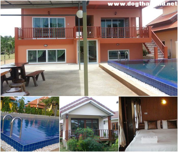 ชัยพัชรา รีสอร์ท (Chai Pattchara Resort) ปากน้ำปราณ ปราณบุรี สุนัขเข้าพักได้