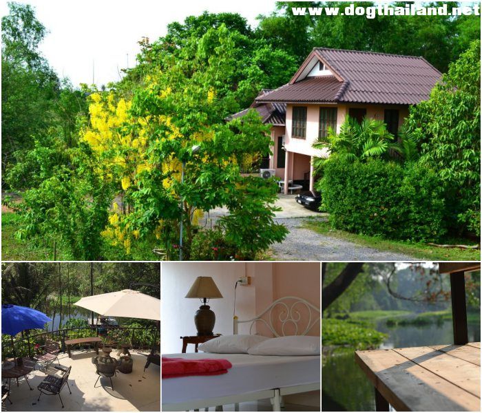 Riverside Residence @ Pranburi รีสอร์ท สุนัขเข้าพักได้ ปราณบุรี ราคาไม่ถึงพัน พักได้ทั้งหมาเล็กหมาใหญ่