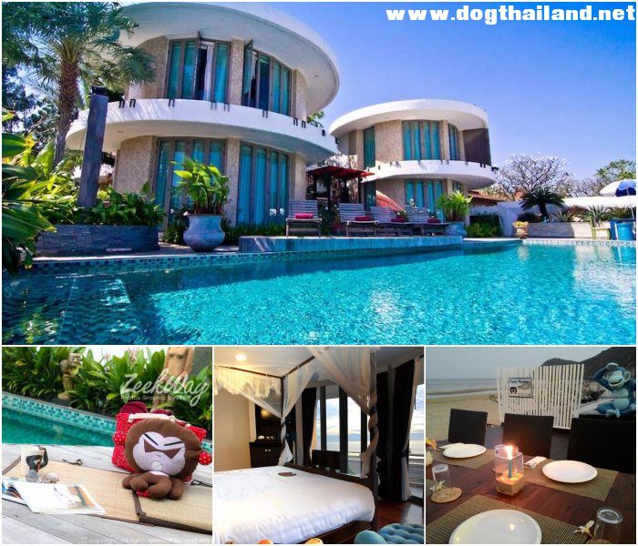 ปาปามังกี้รีสอร์ท (Papa Monkey Resort) รีสอร์ท สุนัขเข้าพักได้ ปราณบุรี ประจวบคีรีขันธ์