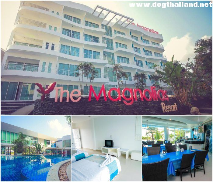 เดอะ แม็กโนเลียส์ พัทยา บูทิก รีสอร์ต (The Magnolias Pattaya Boutique Resort) รีสอร์ท สุนัขพักได้