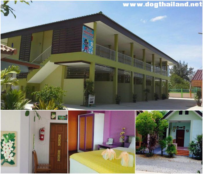 ชาวเงาะ รีสอร์ท Chao Ngoh Resort หาดแสมสาร สัตหีบ สุนัขเข้าพักได้