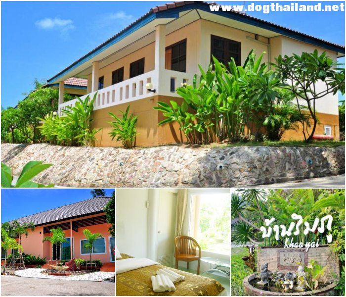 สวนริมภู รีสอร์ท (Rimpu Hill Resort) สัตหีบ รีสอร์ท สุนัขพักได้ ติดภูเขาวิวสวย