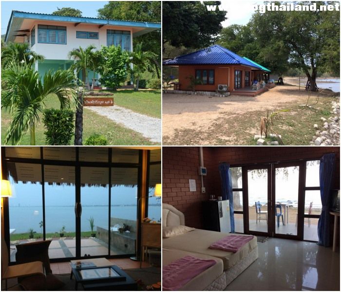 ศูนย์ฝึกทหารใหม่ บ้านพักรับรองศูนย์ฝึกทหารใหม่ หาดทรายแก้ว สัตหีบ สุนัขพักได้