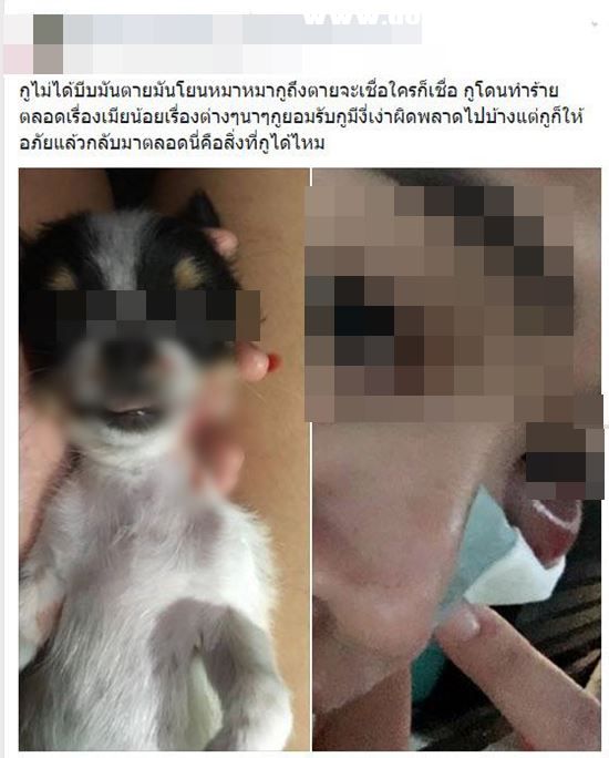 หญิงทะเลาะแฟน แย่งลูกหมา สุดท้ายร่วงตกพื้น-กระแทกโซฟาตายอนาจ